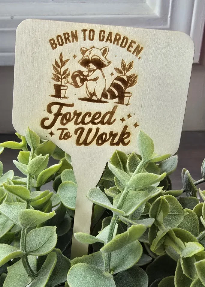 plant3.jpg