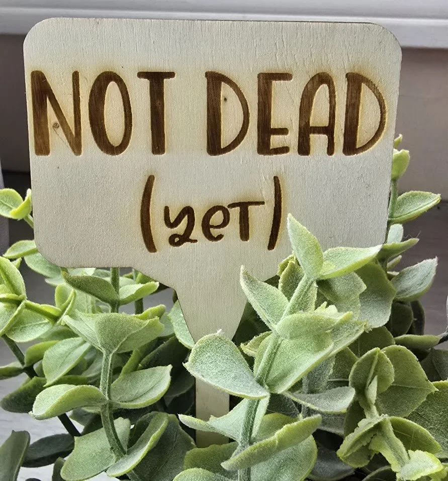 plant12.jpg