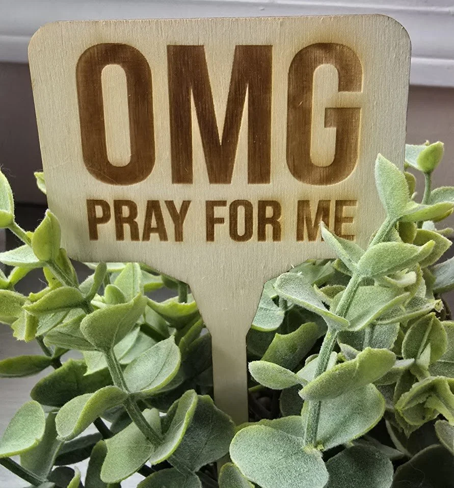 plant10.jpg
