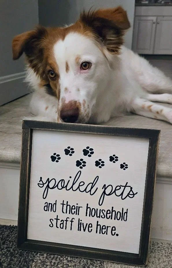spoiled2.jpg