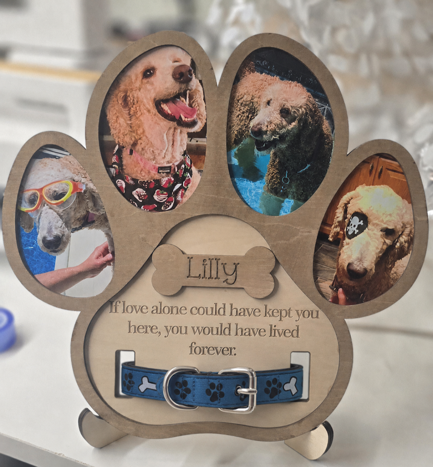 dog mem2.png