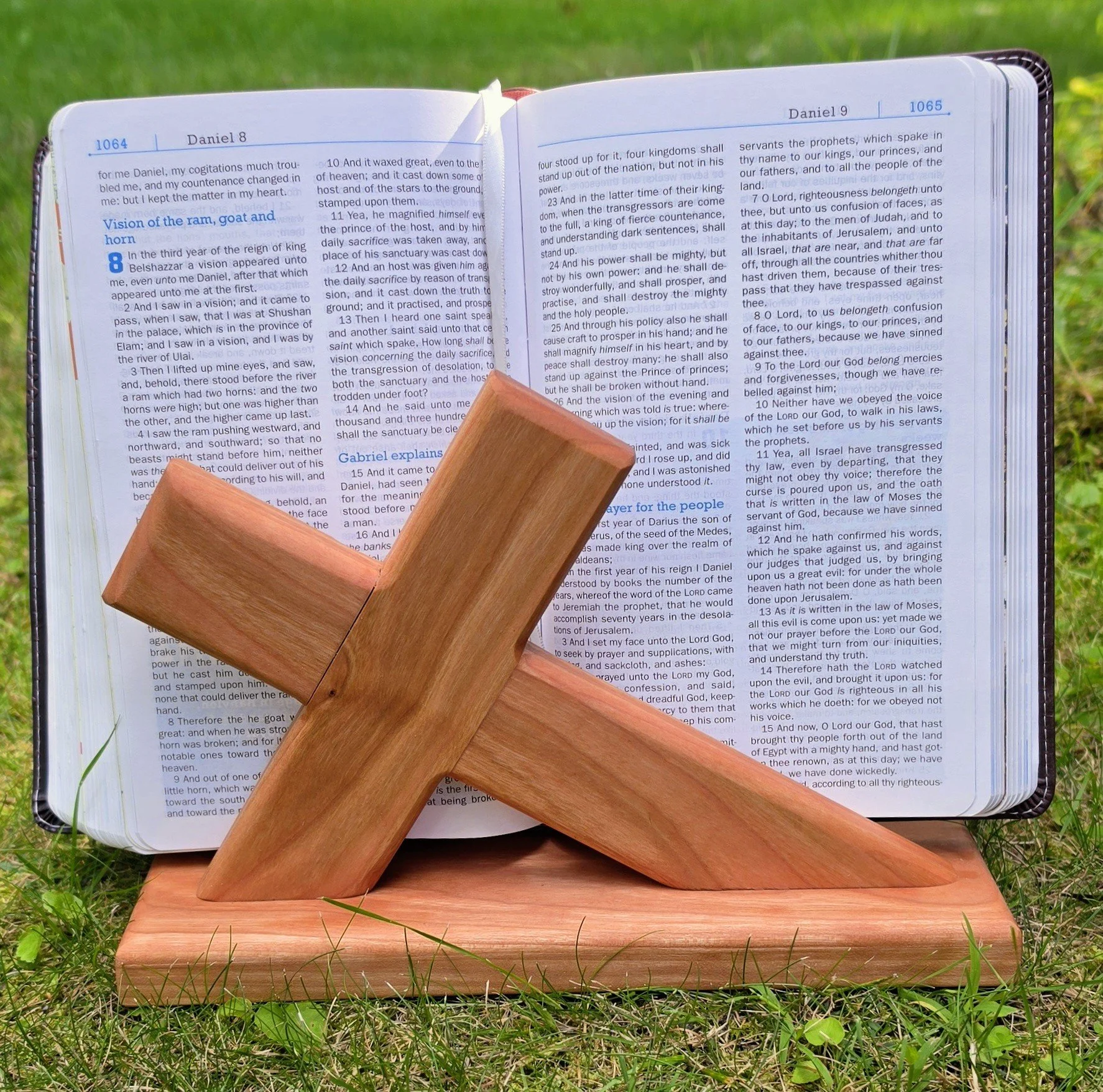 bible6.jpg