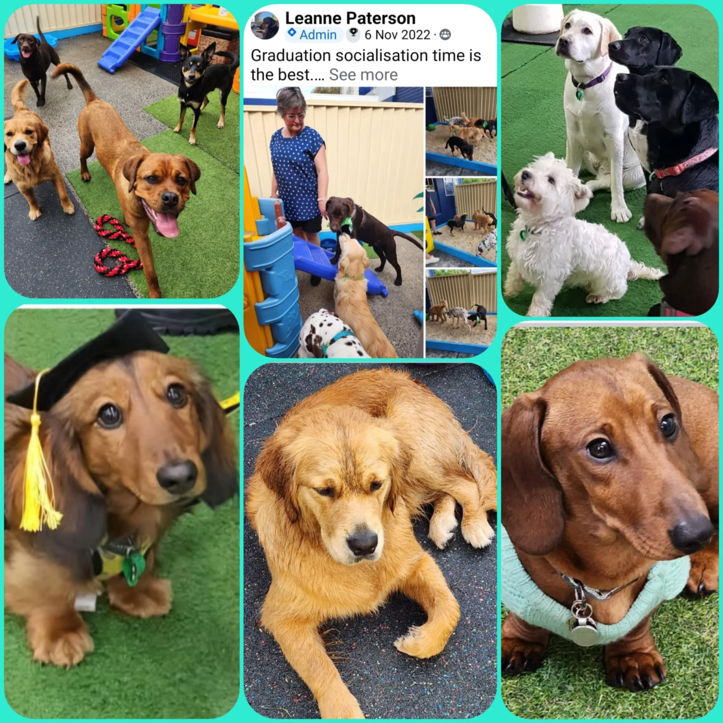 f4dc4742-0351-4e40-9f81-73f28f38fd8b (1).jpg