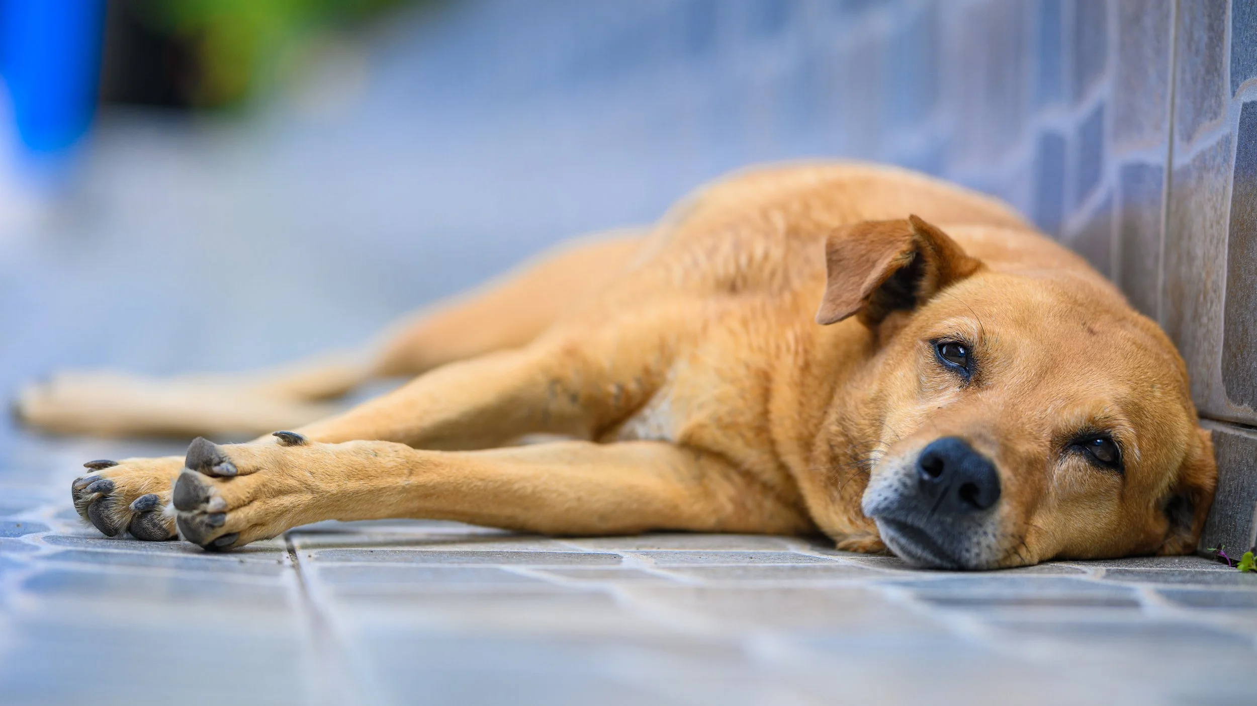 HOTEL QUINTO_NIKON 50ii-98.jpg