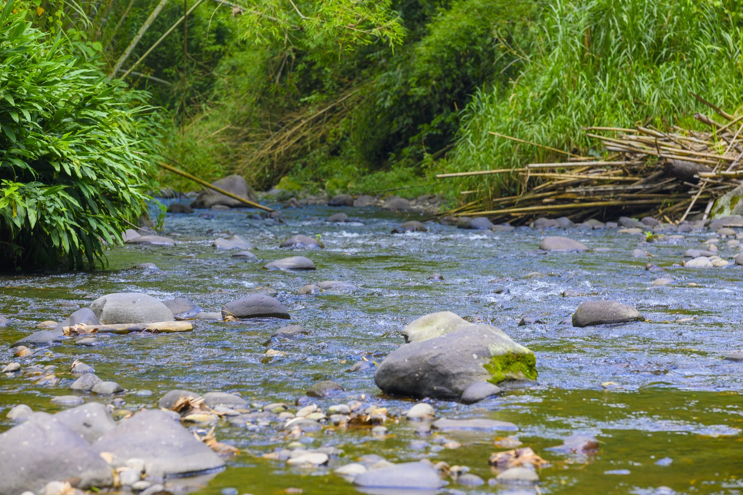 HOTEL QUINTO_NIKONz30_ 34.jpg