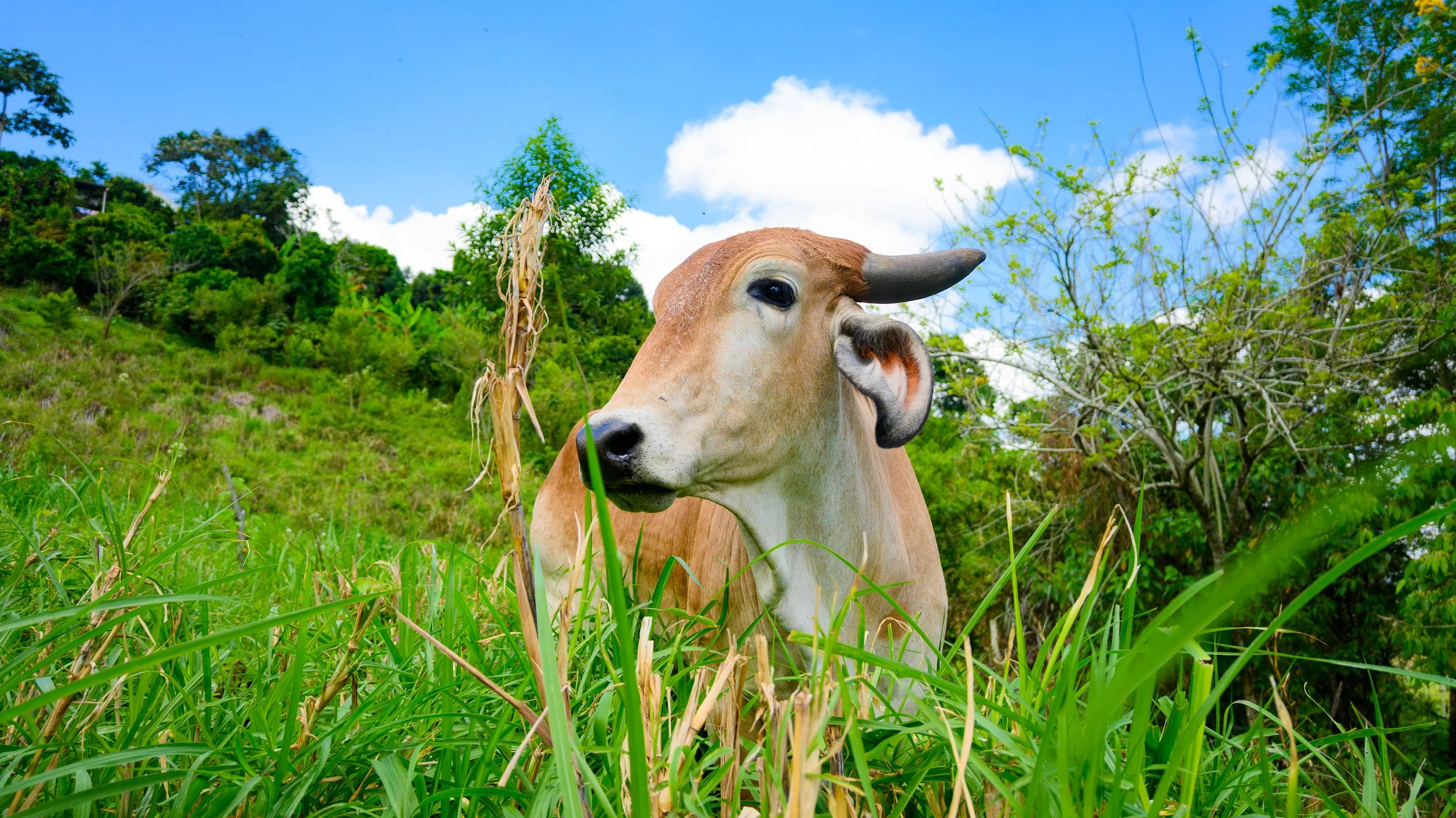 HOTEL QUINTO_NIKON 50ii-13.jpg