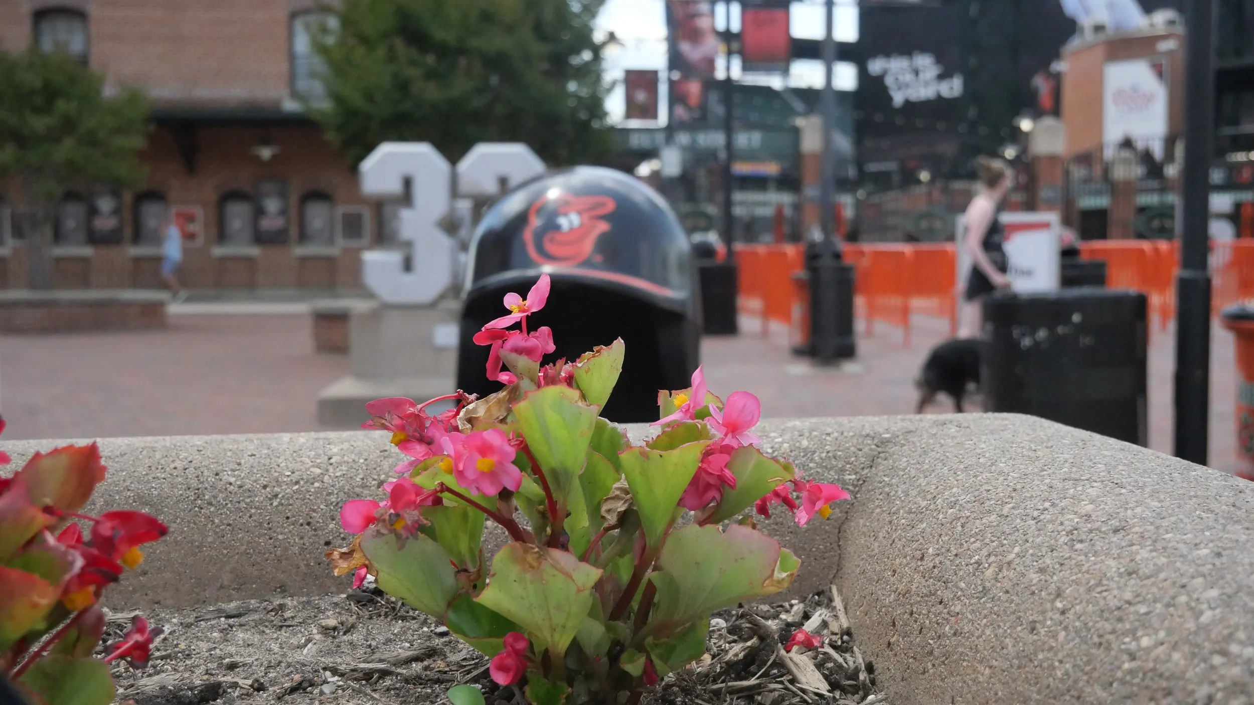 Orioles Stadium 