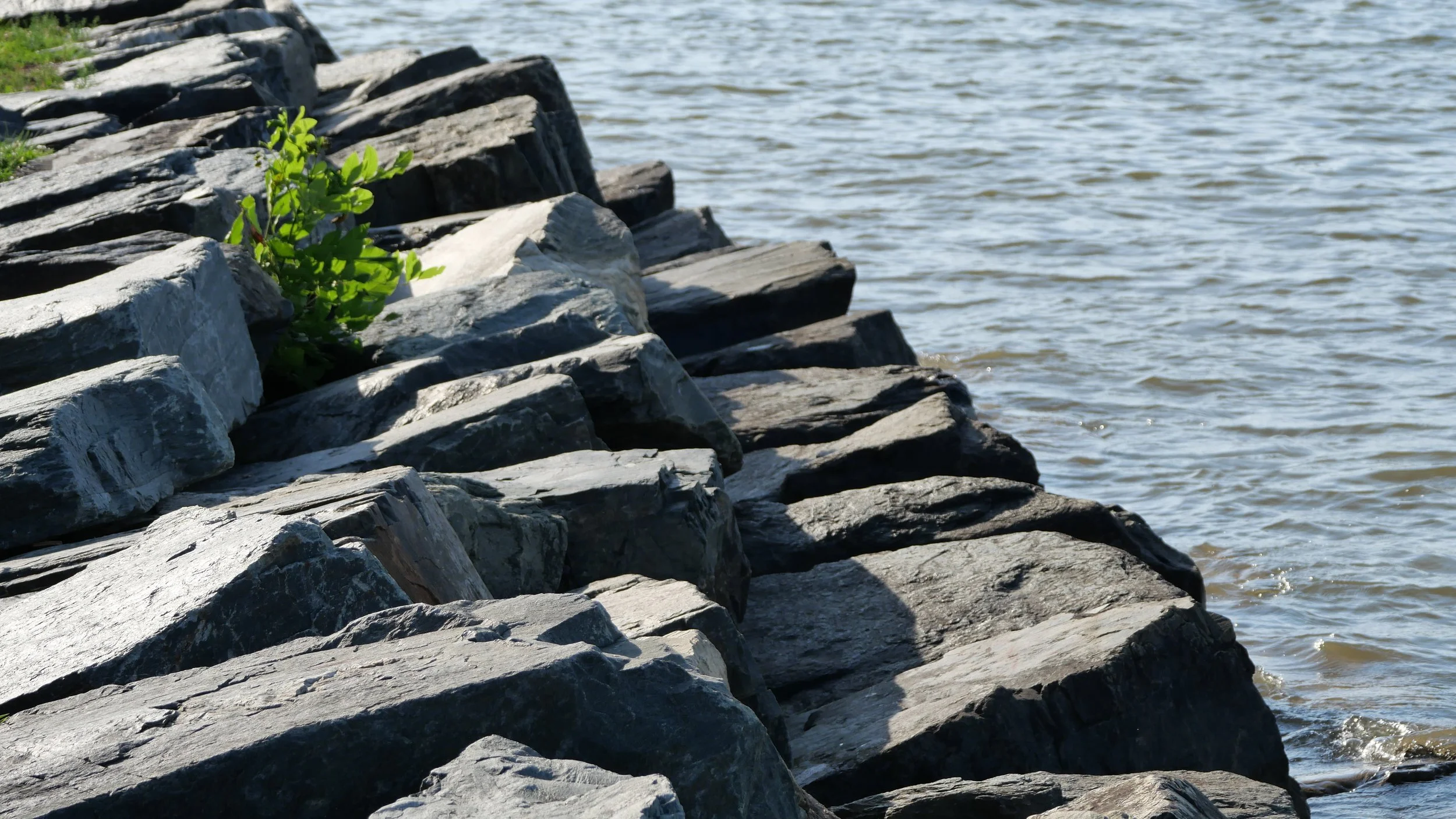 Edge of the rocks, Flying Point Park