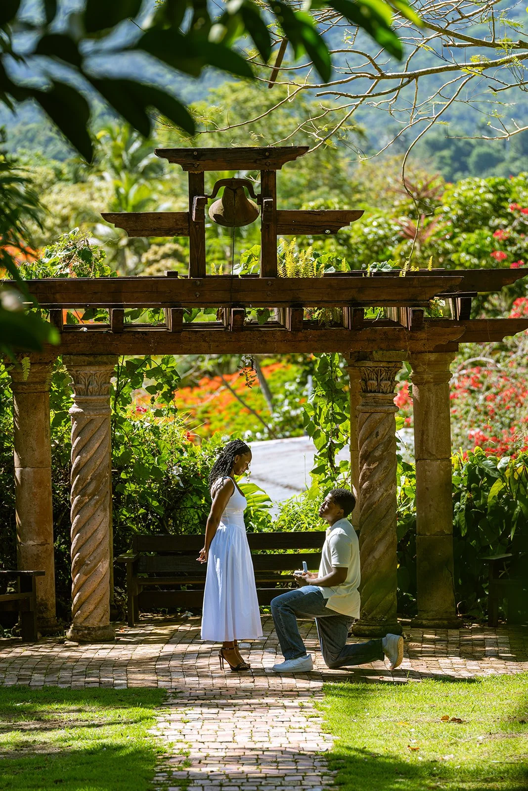 Matai proposing to Toni-Ann at Hacienda Siesta Alegre during a surprise proposal in Puerto Rico.