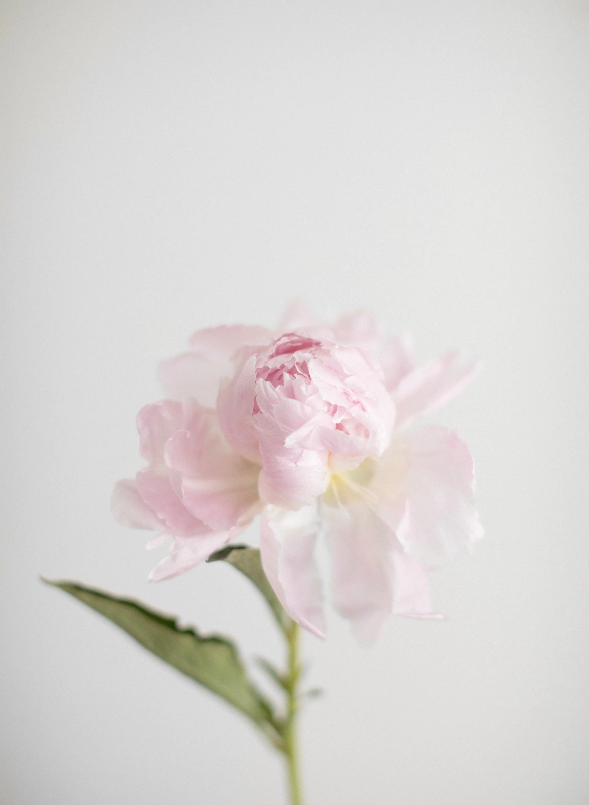 SHARE YOUR WORK: SILENCE