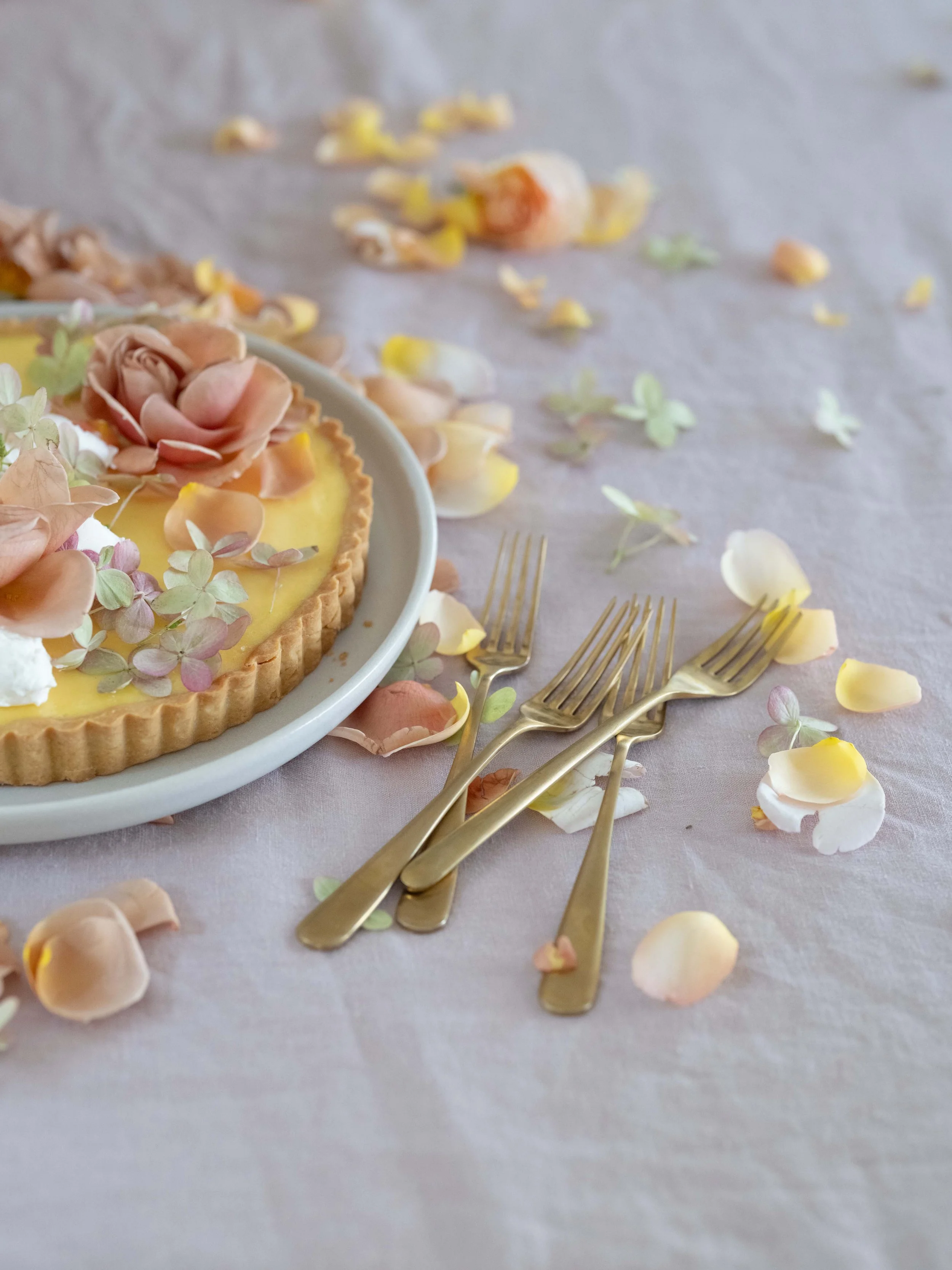 SHARE YOUR WORK : STILL LIFE IMAGES