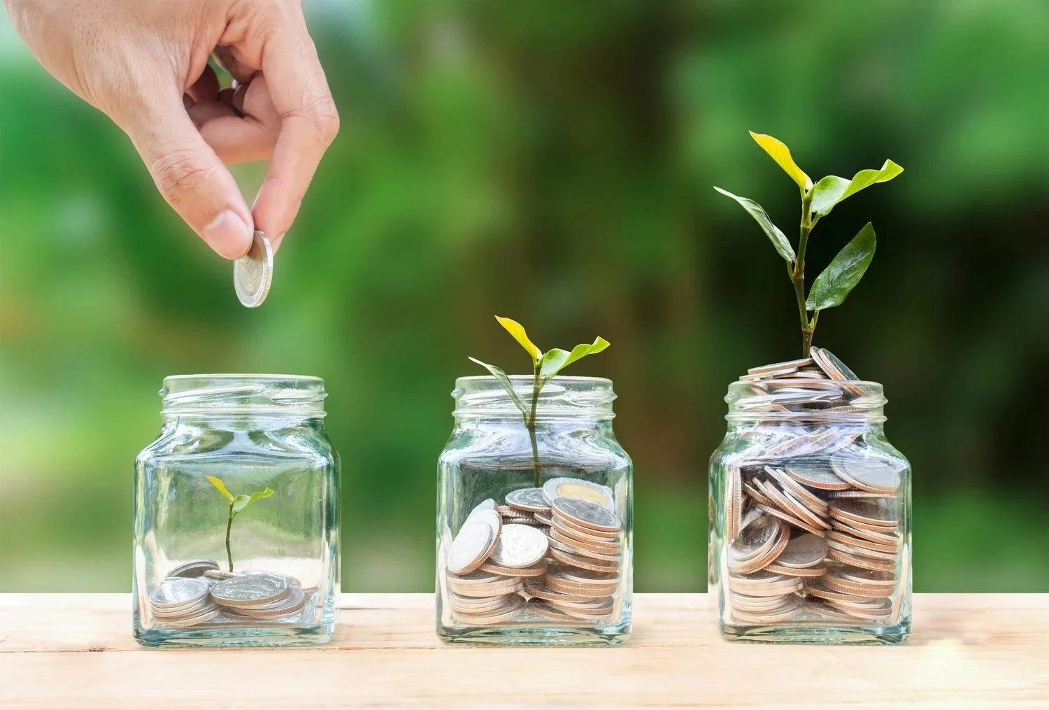 Money Management - Skills to Shine