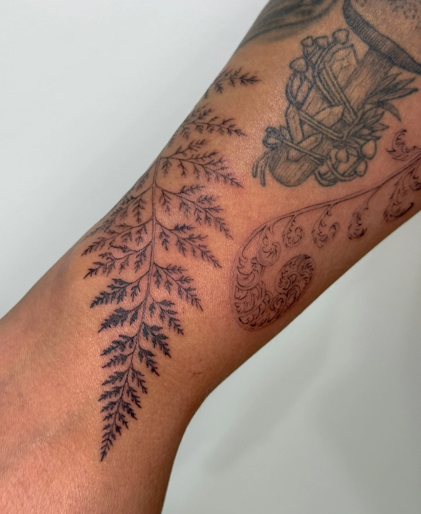 somehow my first fern tattoo?! love how this turned out, so natural and organic🌿