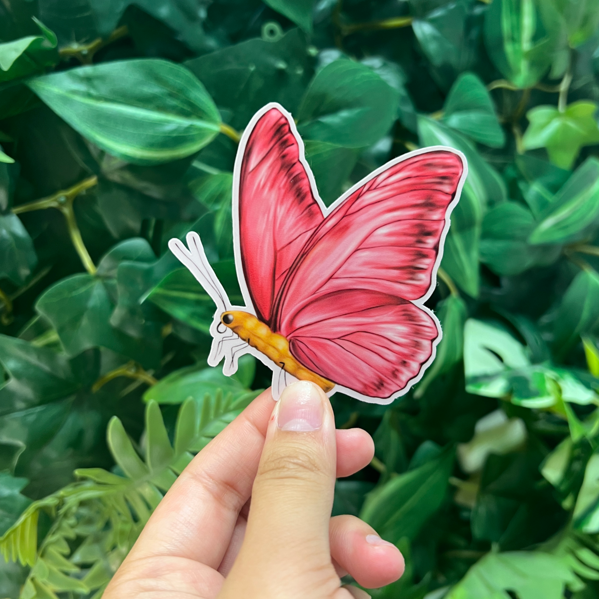 Butterfry