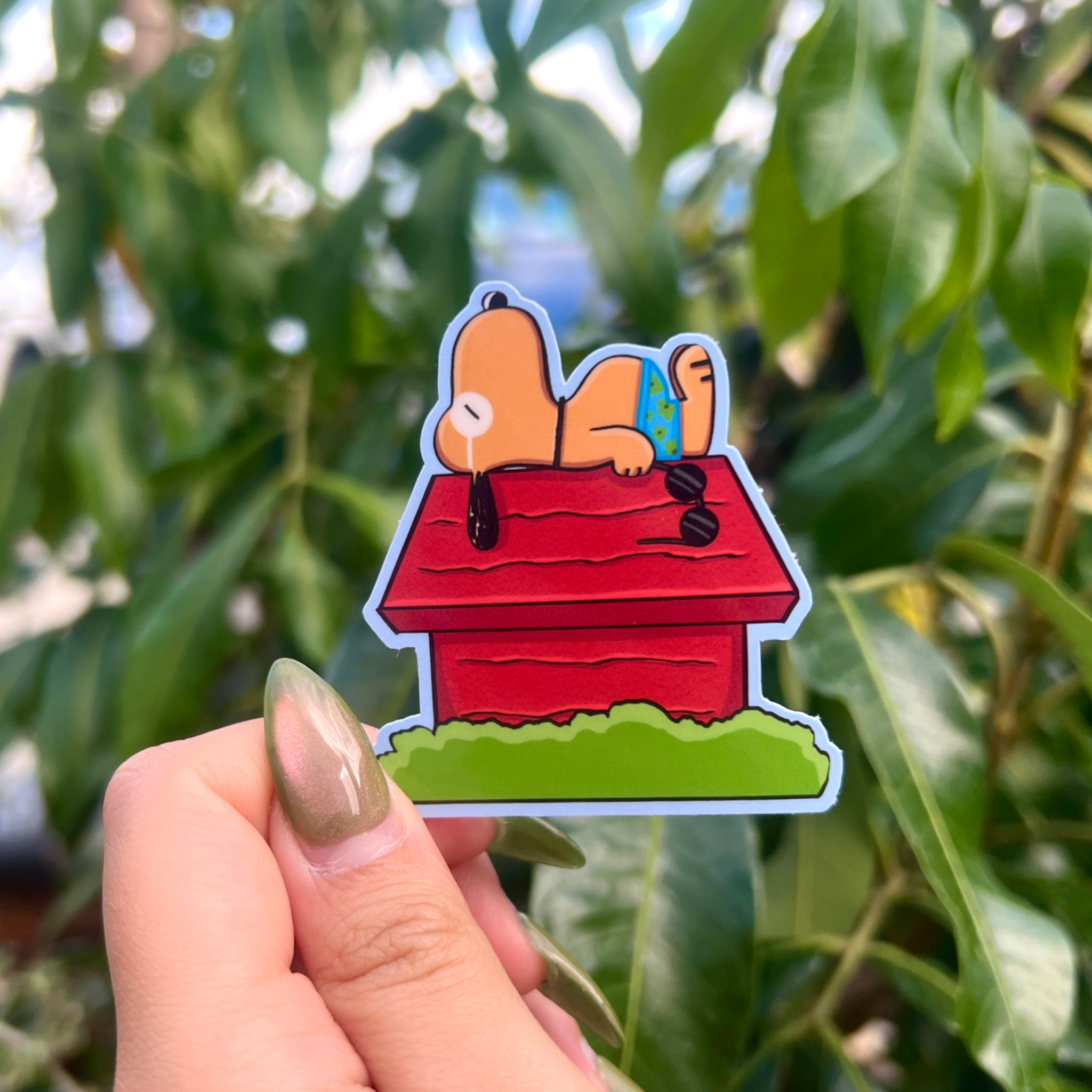 Summer Snoop