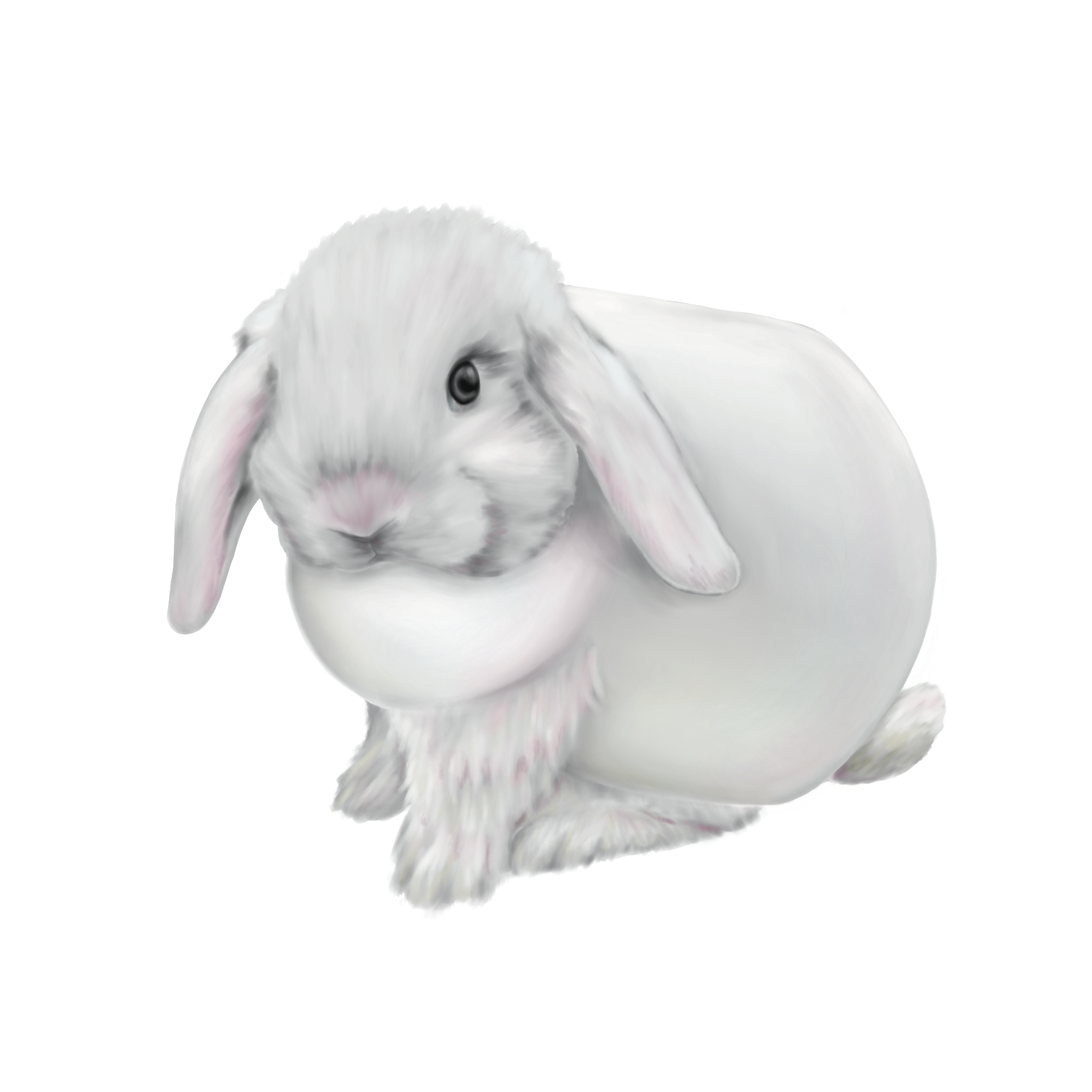 CHUBBYBUNNY.png