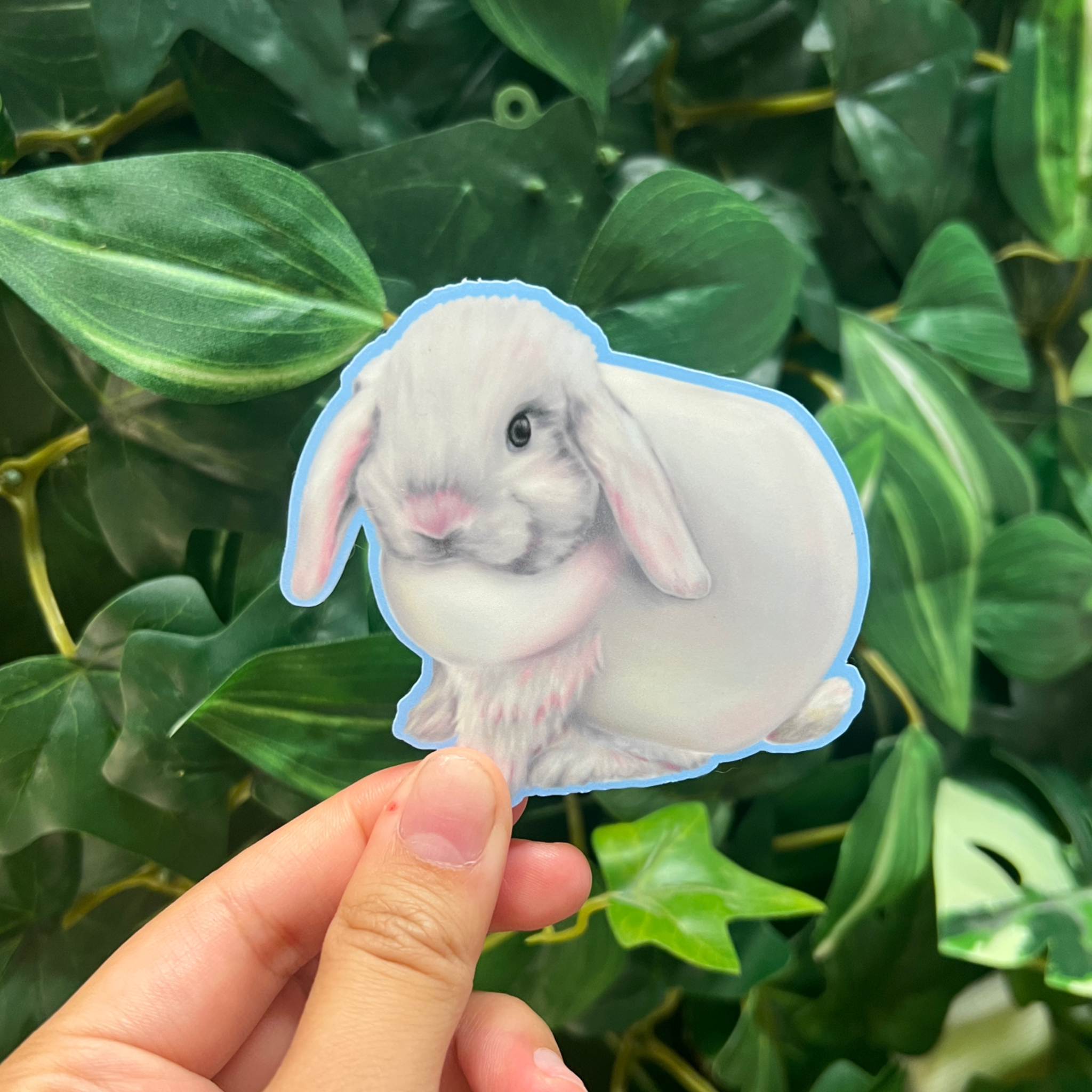 Chubby Bunny
