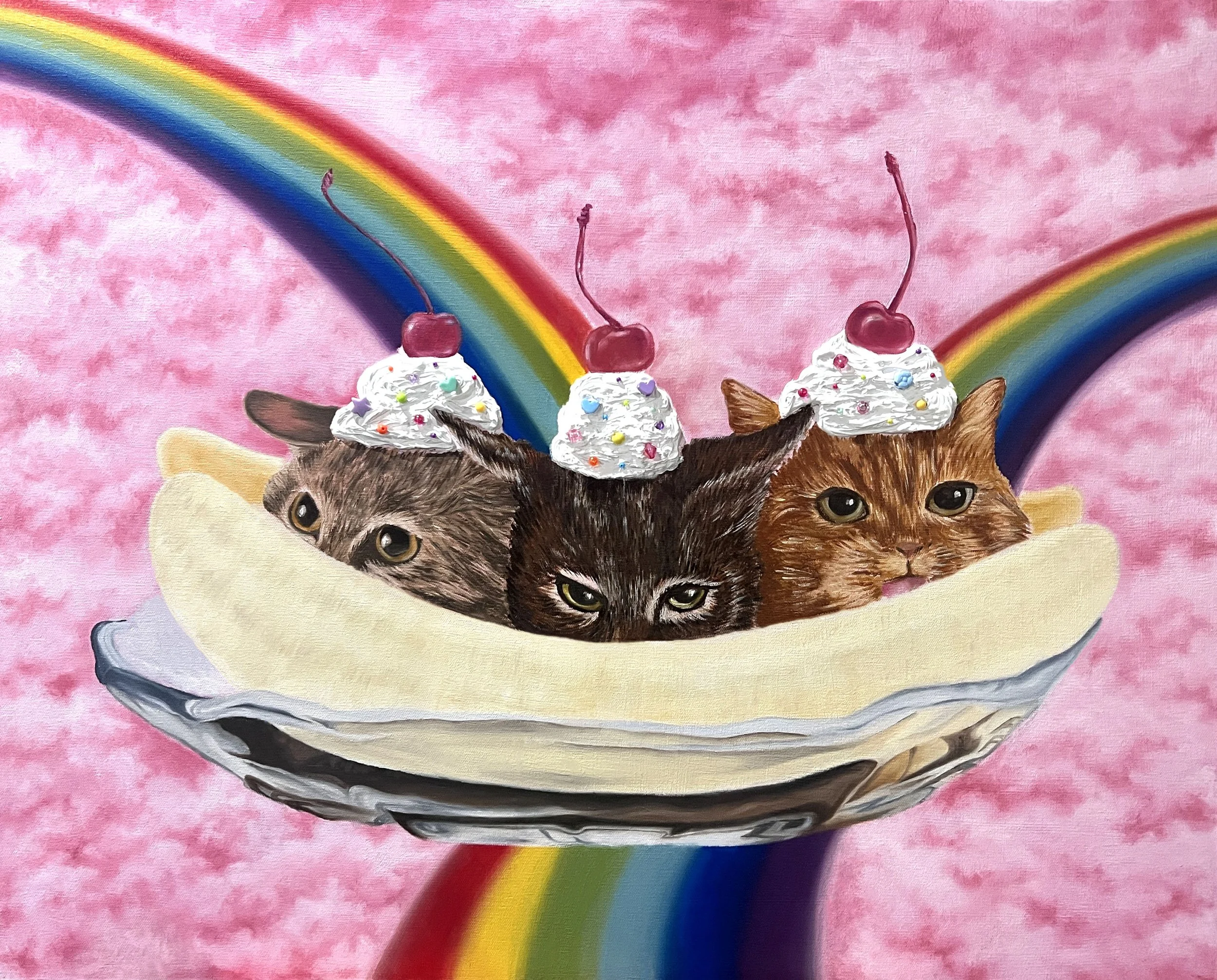 Catsundae_edited.jpg