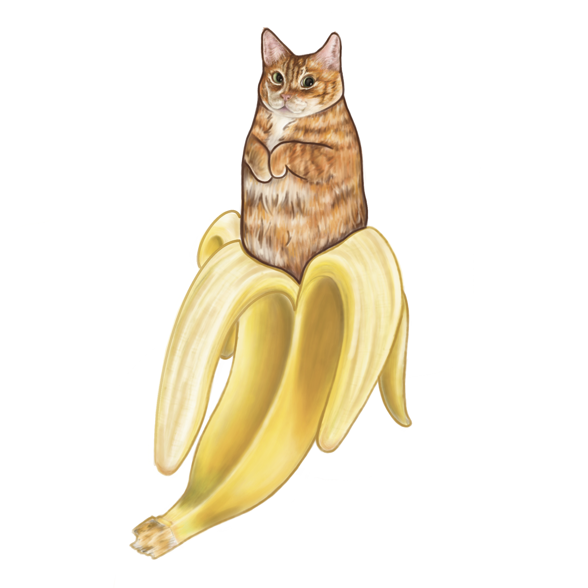 CATNANA.png