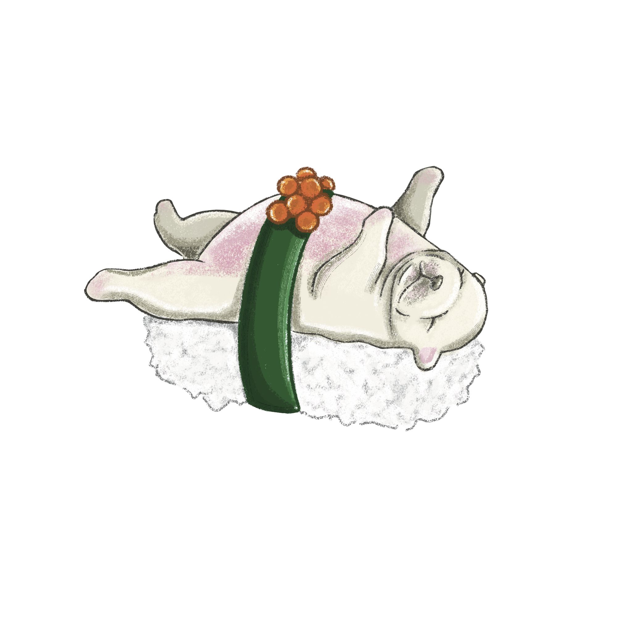 Sushi_pibble_ (1).png