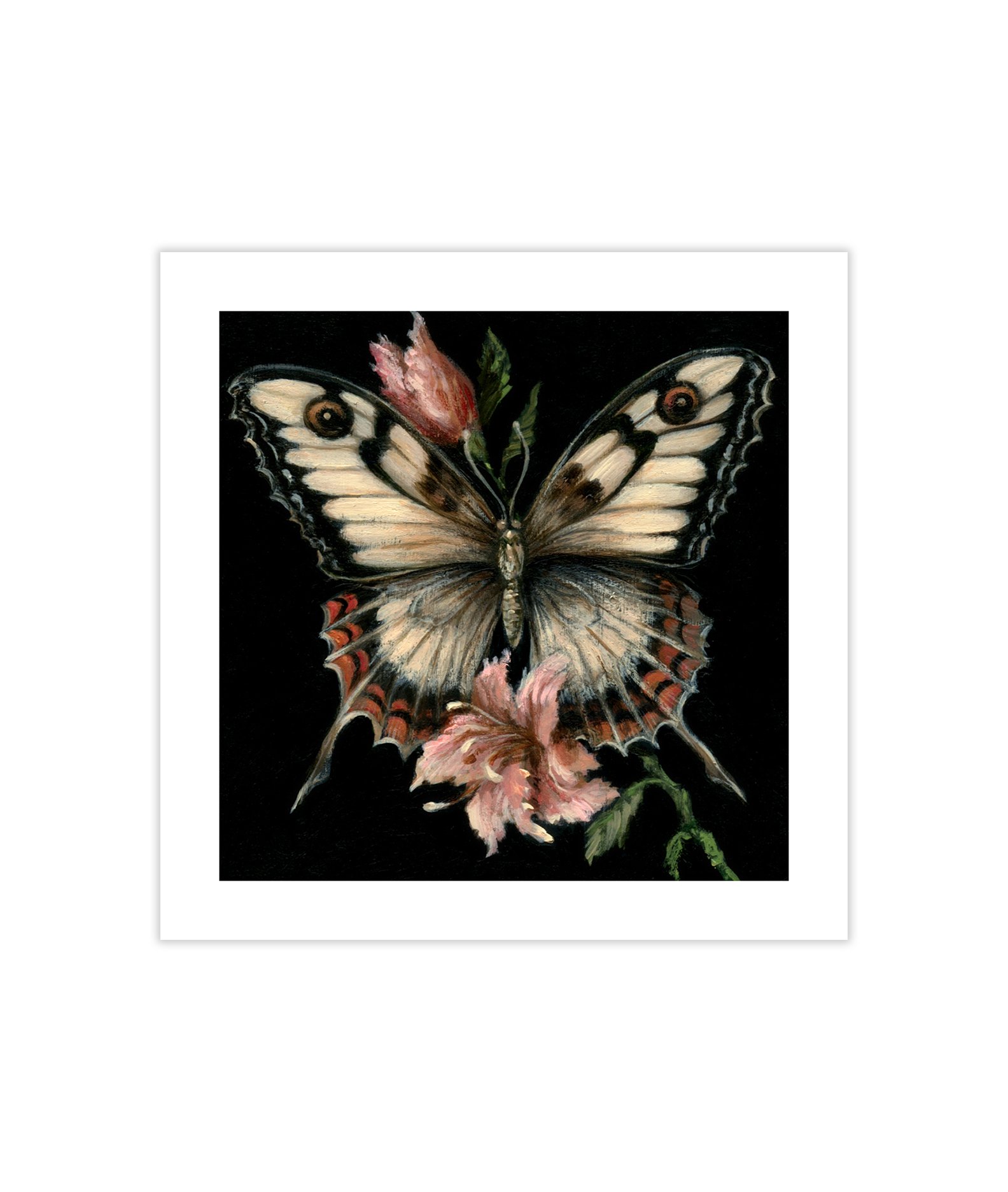 delicate-mini.jpg