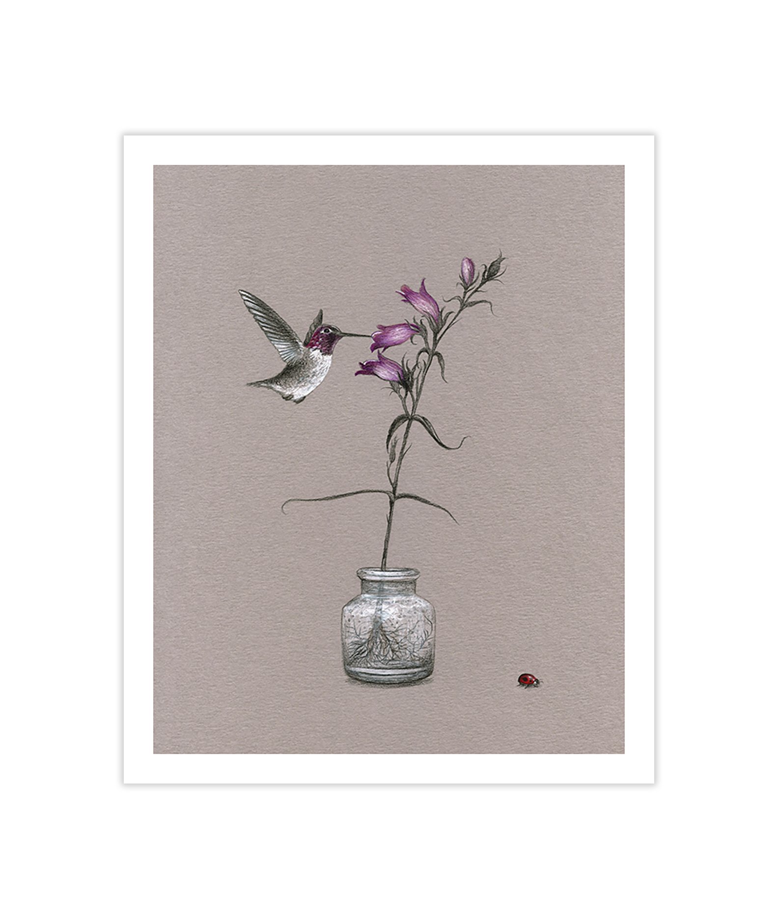 Still Life (Open Edition Print)