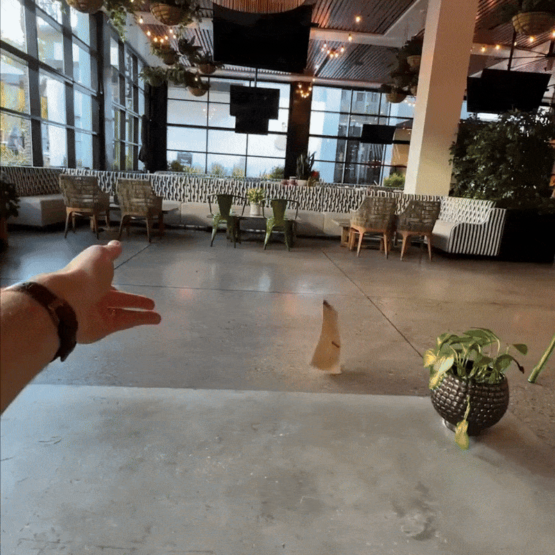 TJA-FRC-Gallery-2.gif