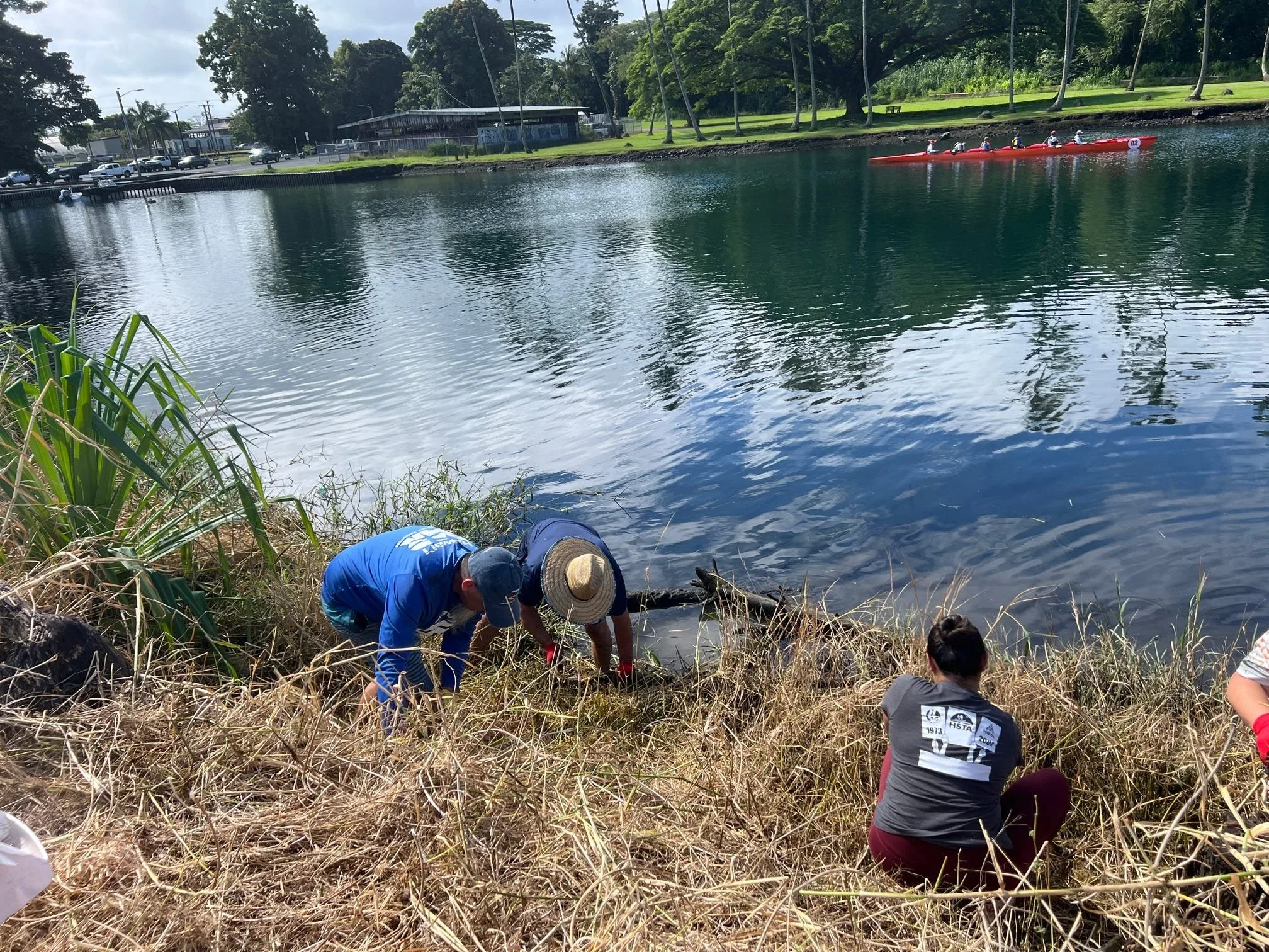 Wetland trial restoration project with Division of Aquatic Resources