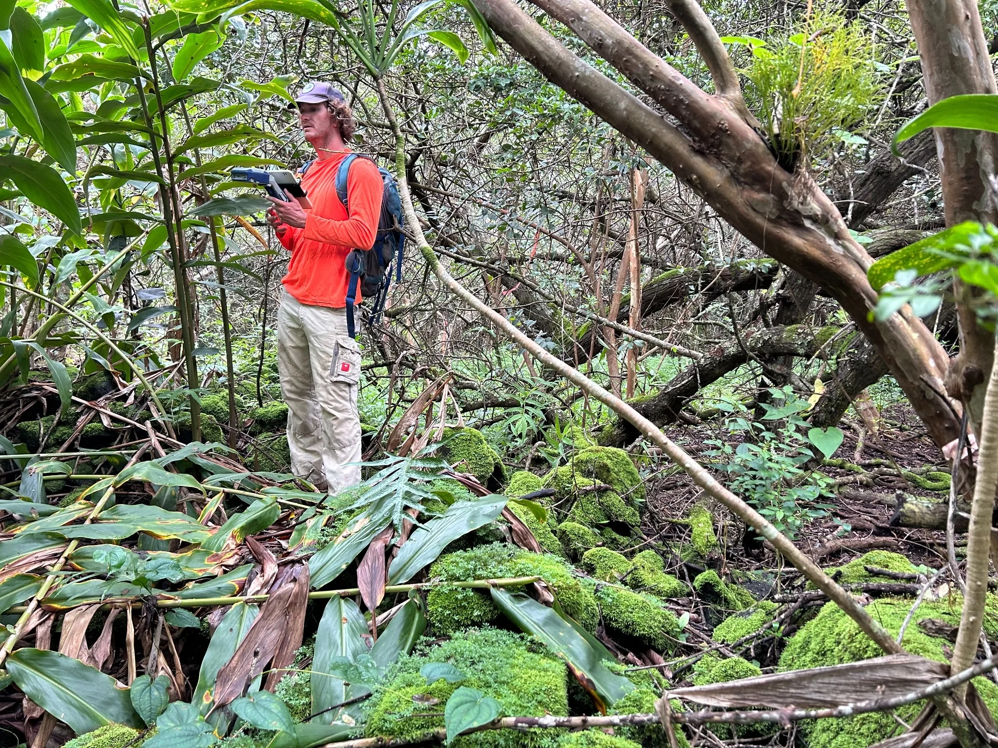 Field survey