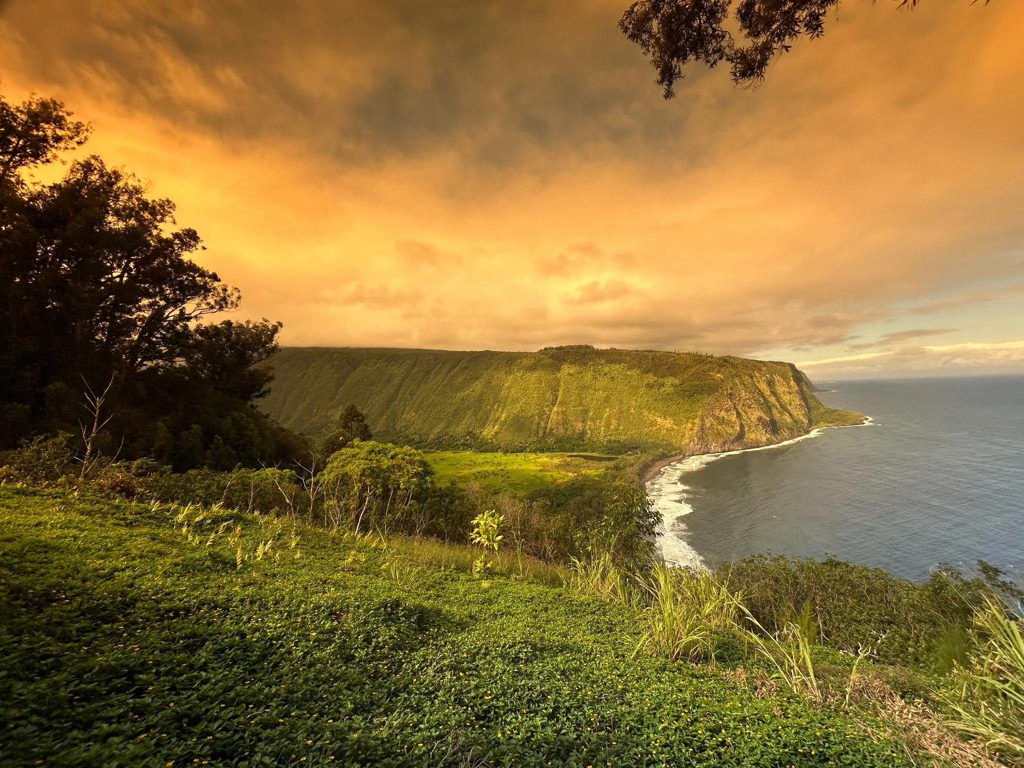 Waipiʻo Valley, Hāmākua, Hawaiʻi
