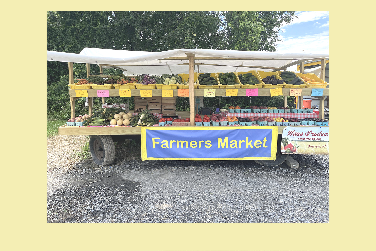 Haas Produce | Shop Fresh Now