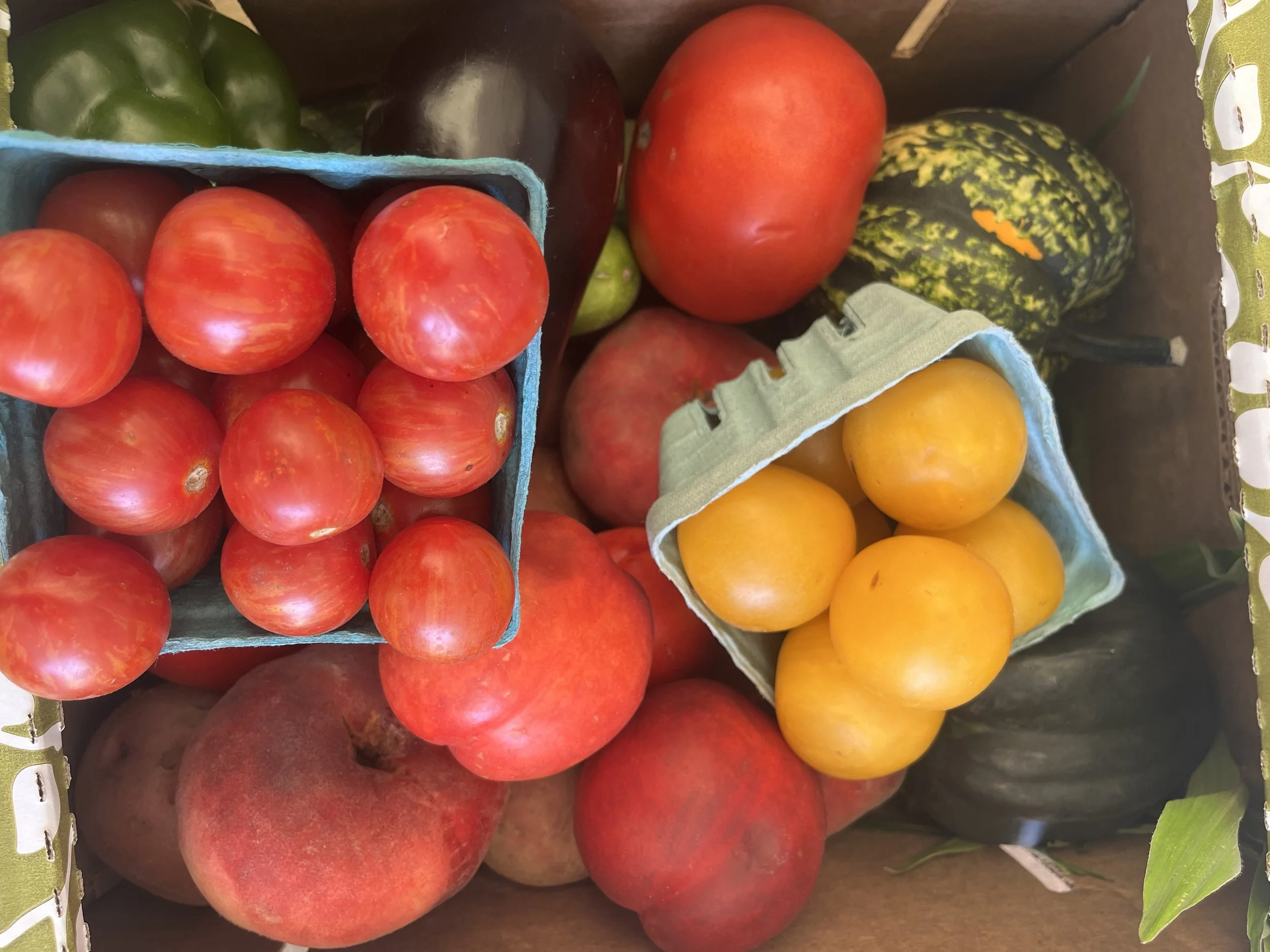 Small Fruit and Vegetable Box