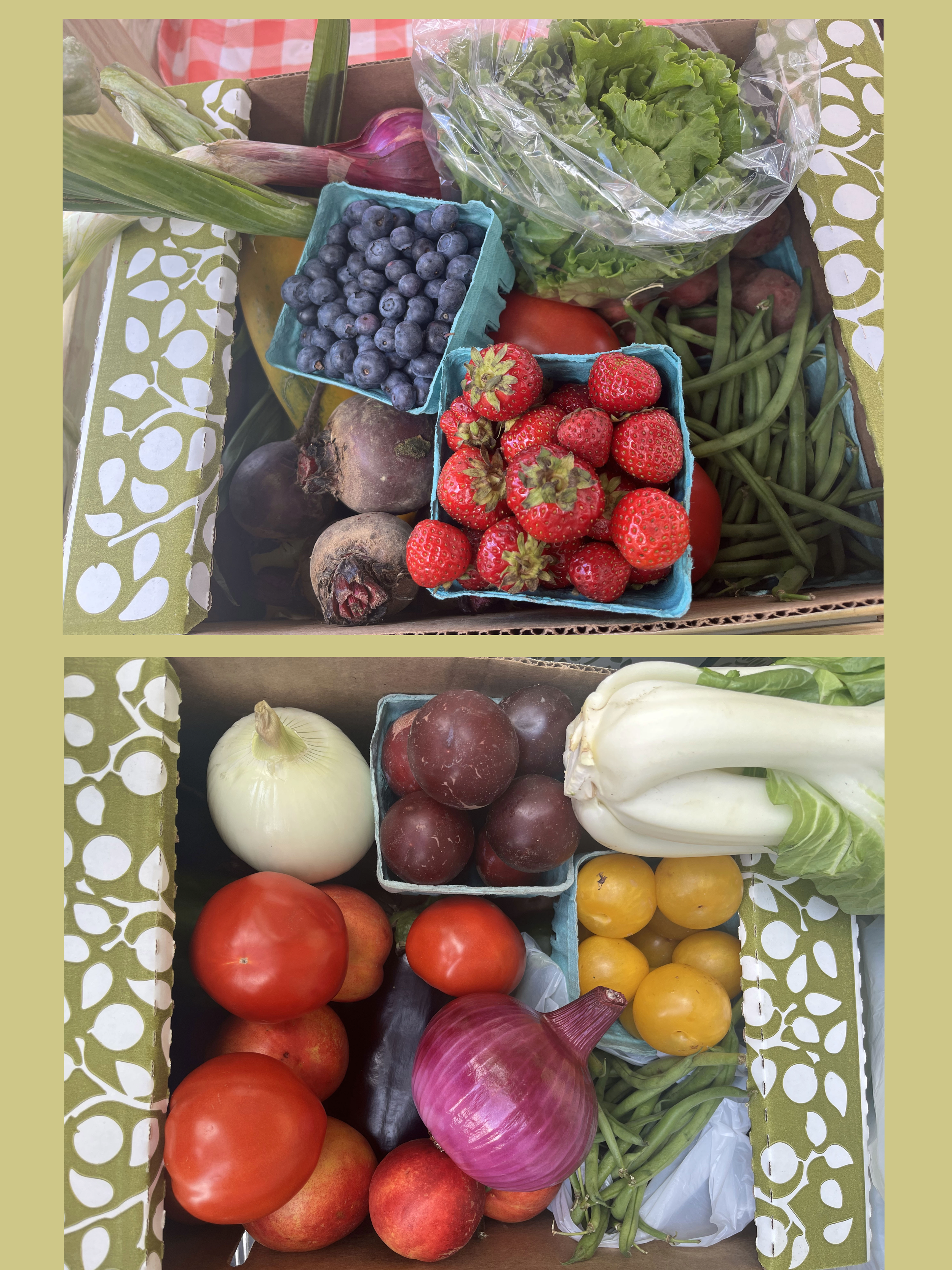 Large Fruit and Vegetable Box