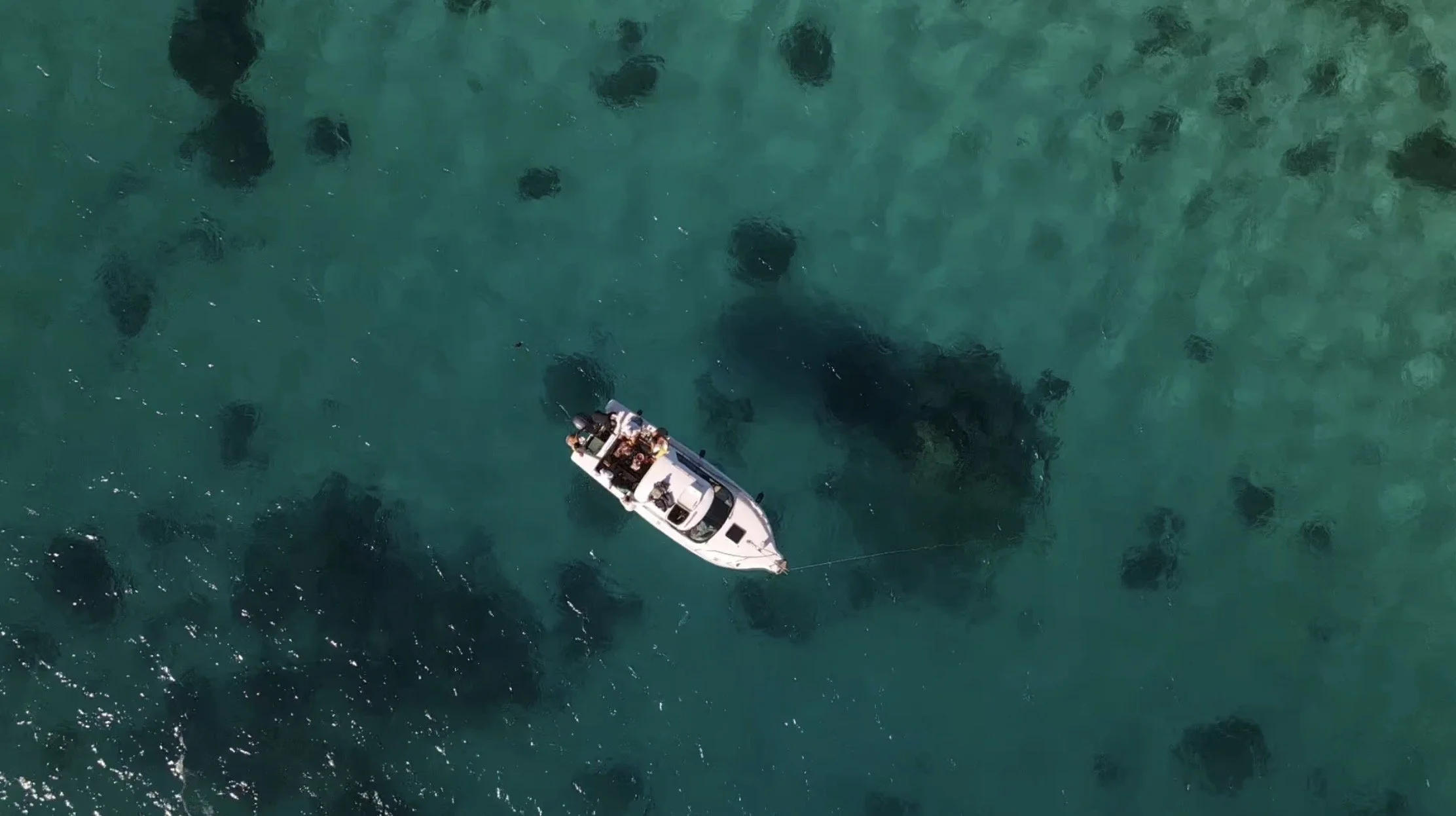 上空から見たボートと海の映像。海底に存在するサメのような巨大な魚の姿が見える。