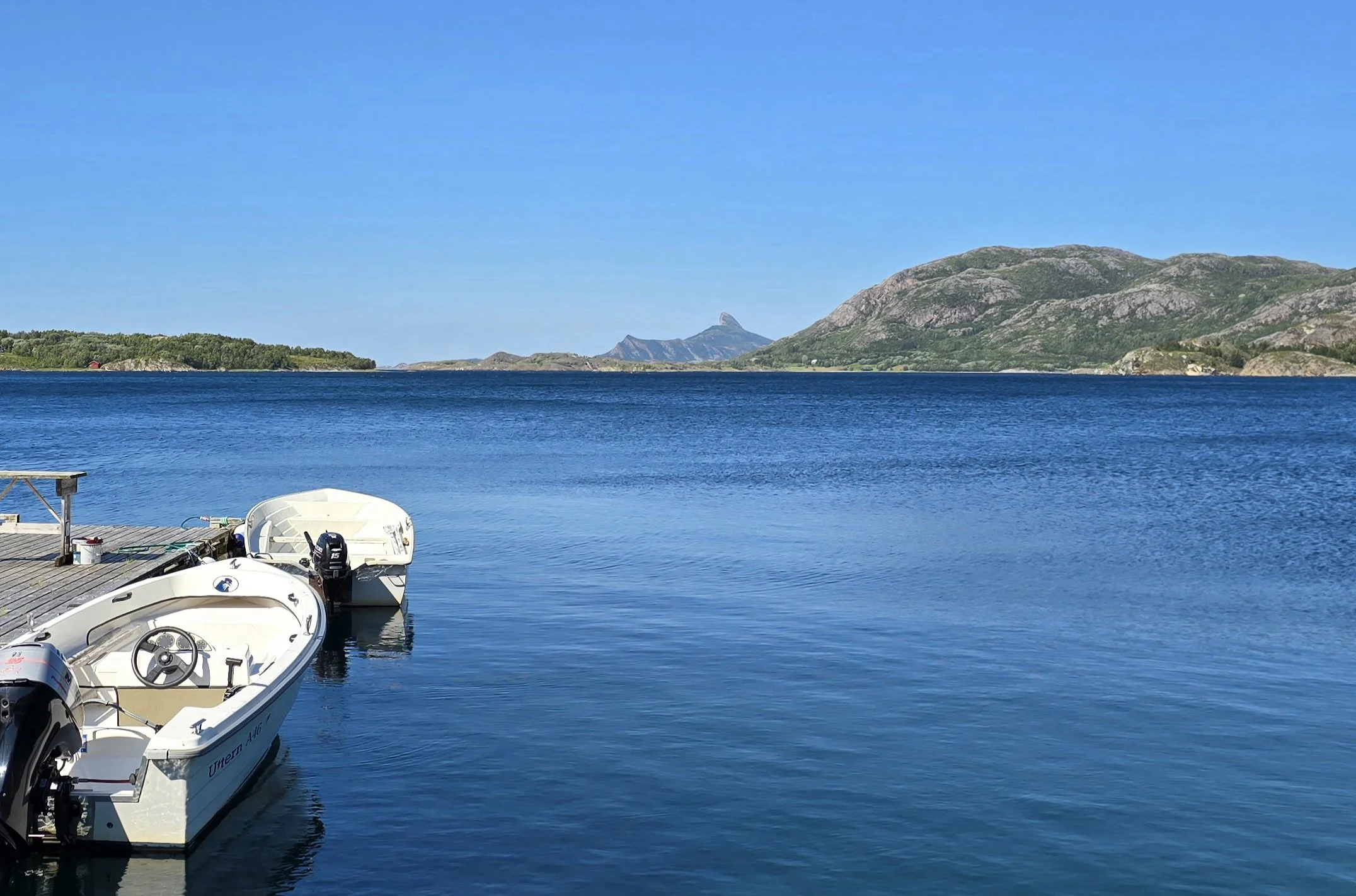 20241017_135641.jpg