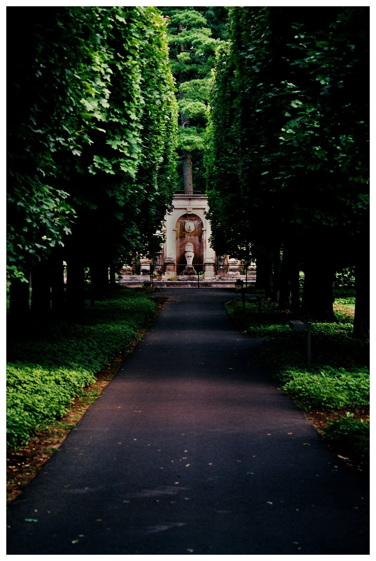 Pathway leading to a classical stone fountain framed by tall hedges.