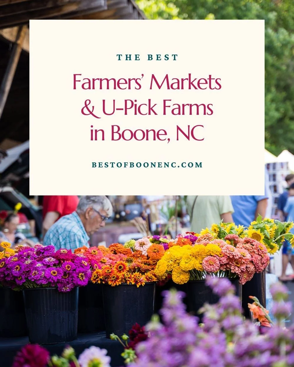 🍅 Farmers&rsquo; markets + u-pick farms = the tastiest way to spend a High Country day. Whether you&rsquo;re stocking up on seasonal produce, grabbing fresh-baked bread, or wandering through rows of wildflowers, the High Country&rsquo;s farmers&rsqu