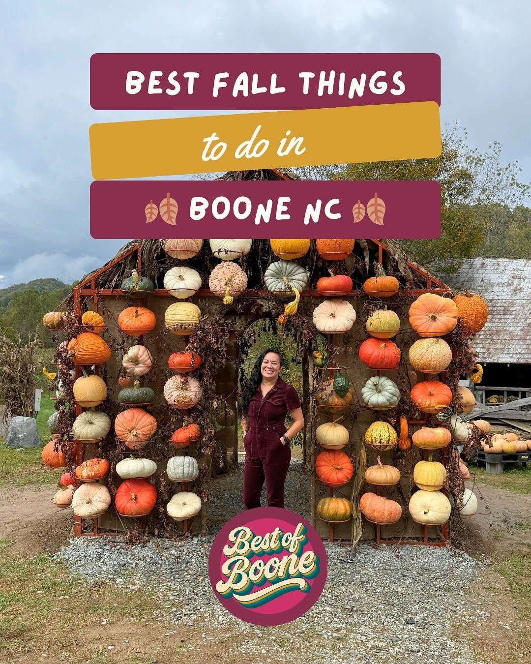 🍁✨ Fall in Boone = crisp air, cozy spots, and mountain views that will stop you in your tracks.
From pumpkin patches to Parkway hikes, seasonal treats, craft breweries, and hidden-gem sunset spots &mdash; this roundup has everything you need for a p