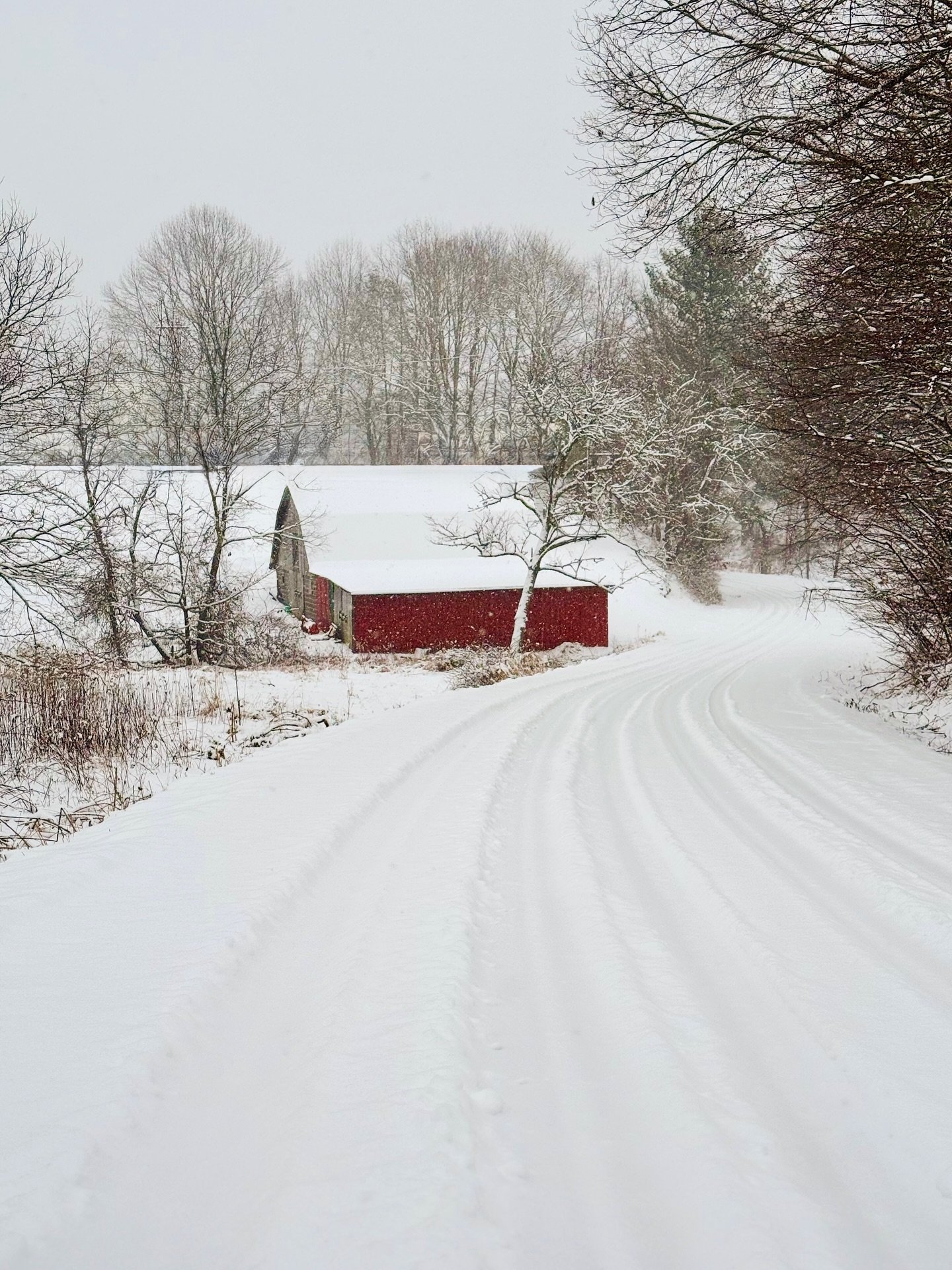 January has been about rest&mdash;oration.
Slowing down to a near stop.
Being intentional.
Treating self-care like my life depends on it.
Because it does.
Rebalancing my nervous system.
Surrender. Acceptance.
Learning to rest without guilt.

Winter i