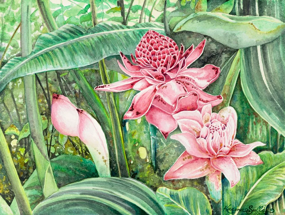 Torch Ginger, 2019, watercolor on paper, 9 x 12 in. (22.8 x 30.4 cm)
