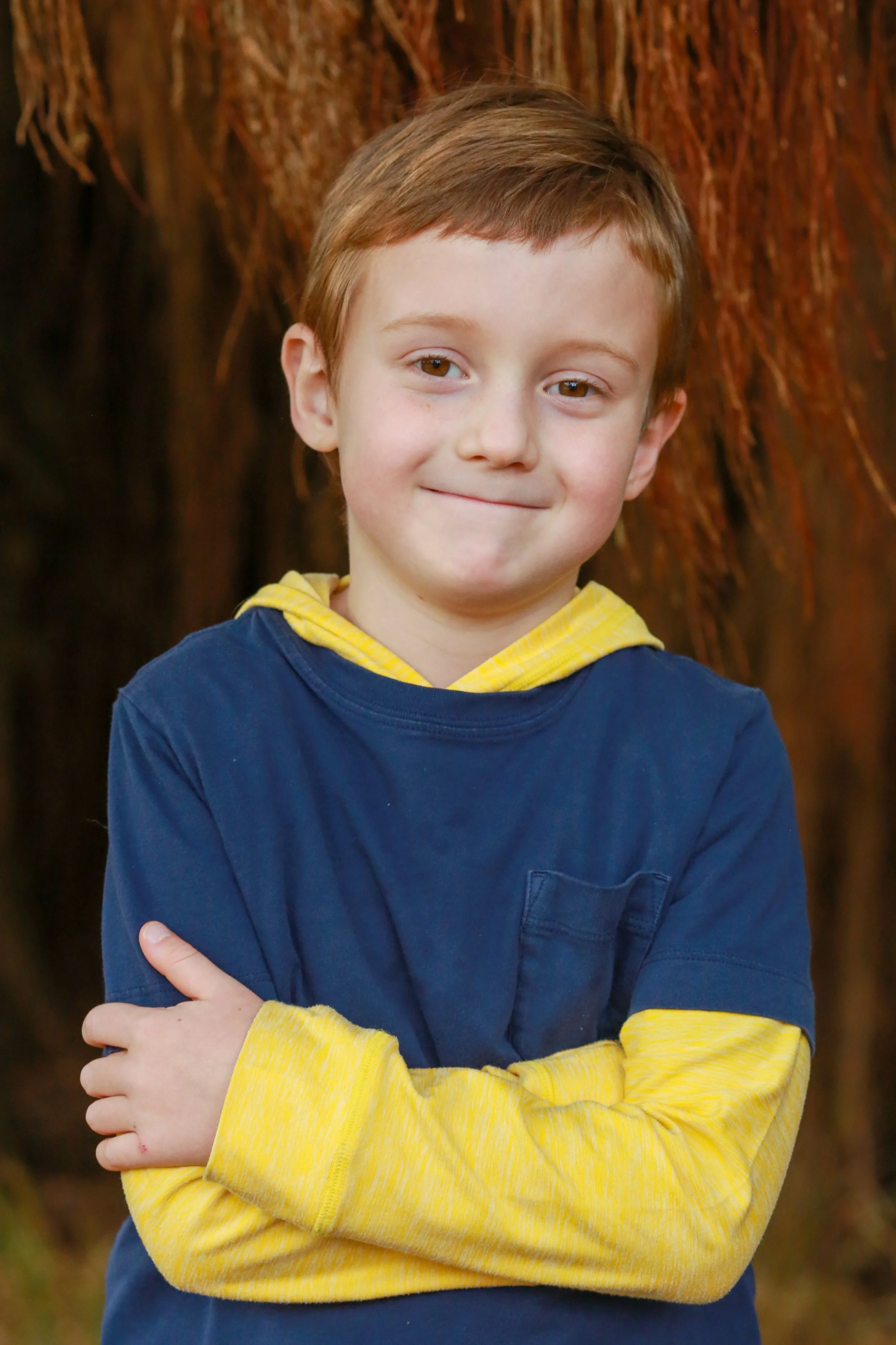 A young boy with light brown hair and light skin, wearing a navy blue and yellow hoodie, standing outdoors in front of a tree trunk.