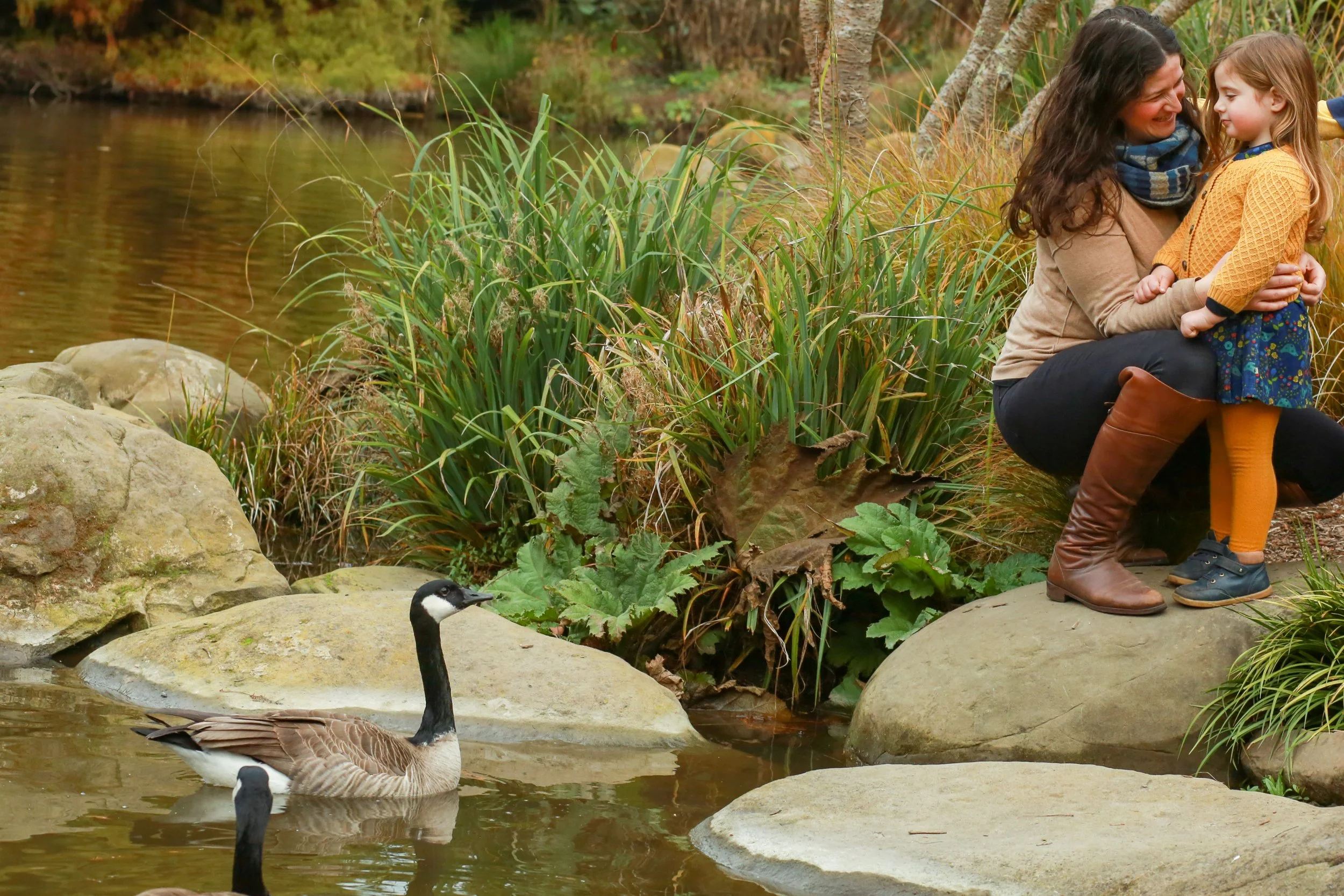 A woman and a young girl on a large rock by a pond, with the woman holding the girl, smiling, and the girl wearing a yellow sweater. Two Canada geese are in the water nearby, with green and autumn-colored foliage in the background.