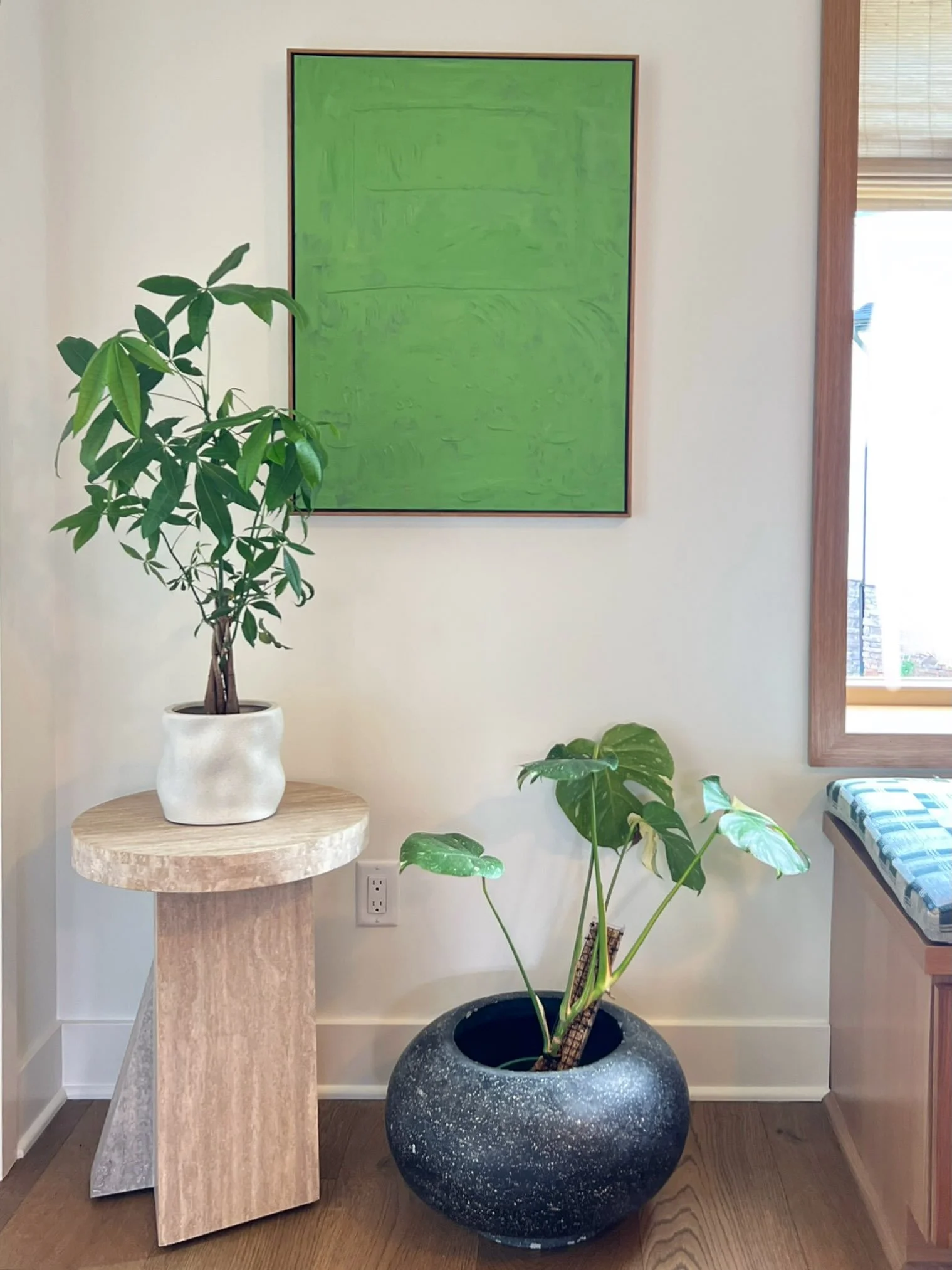 The biggest thank you to @preamlyh for styling this year&rsquo;s @stjudevirginia Dream Home with the most gorgeous plants. So much more to see but here&rsquo;s a peek at a few of Tia&rsquo;s beauties 🌿

@studio_more_designs 
@rosemaryhouse.co 
@lg.f