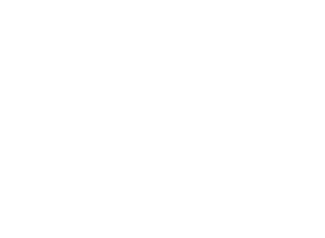 volo.png