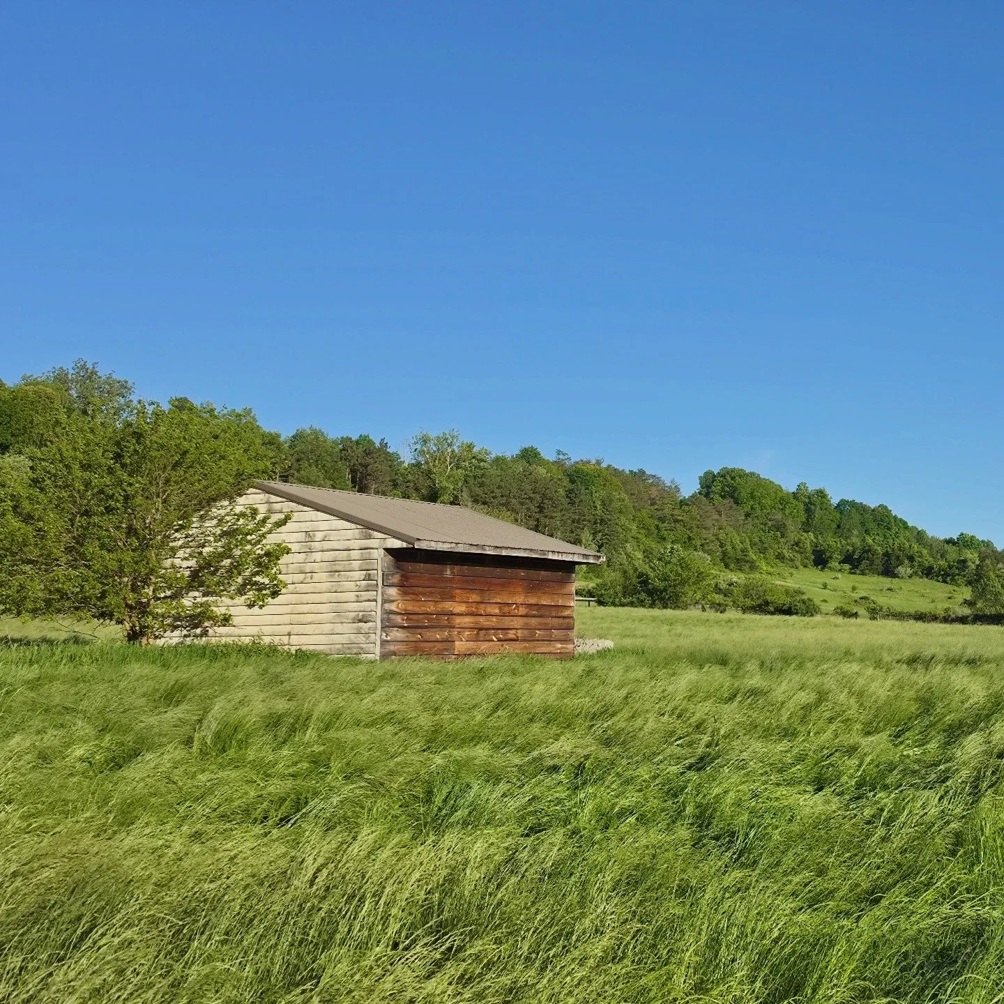 F4DF675B-8DB1-4D05-8334-42C0EEC200AB.webp