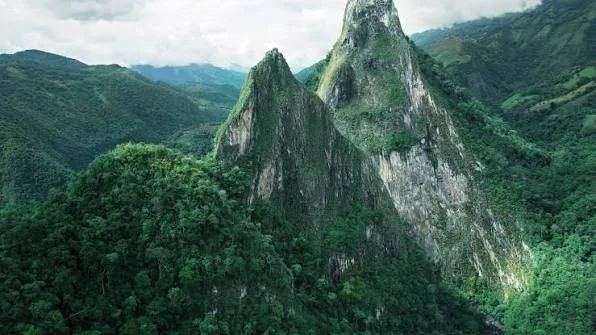 What Is “Muzo Green”? The Colour That Sets the Standard