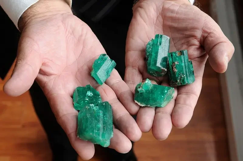 Person holding a pair of hands displaying several rough emerald gemstones.