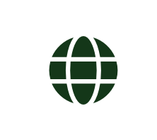 A green globe icon with grid lines on a white background.