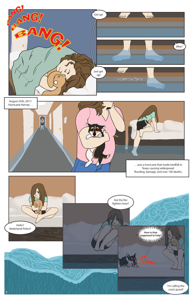 page 1.png