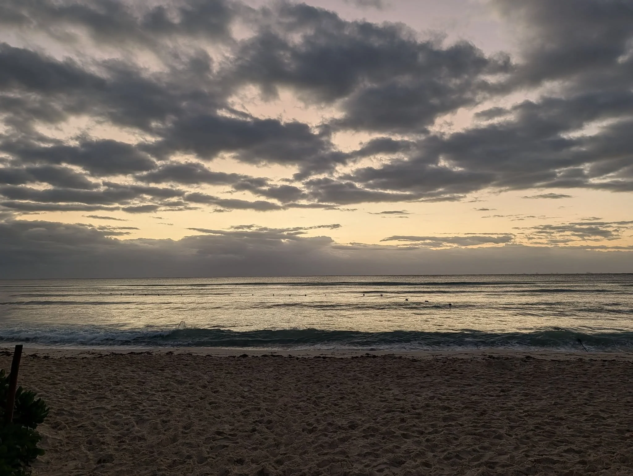 Today I just needed to take a minute and take in how much I am grateful for.